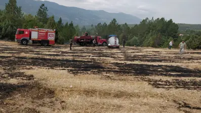 Kopan elektrik tellerinden yangın çıktı