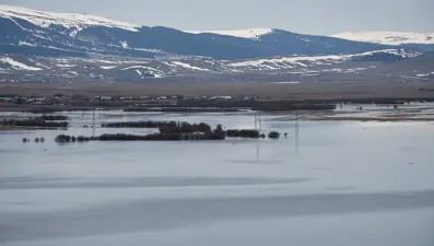 Karlar eridi, Kura Nehri taştı: Ardahan Ovası göle döndü