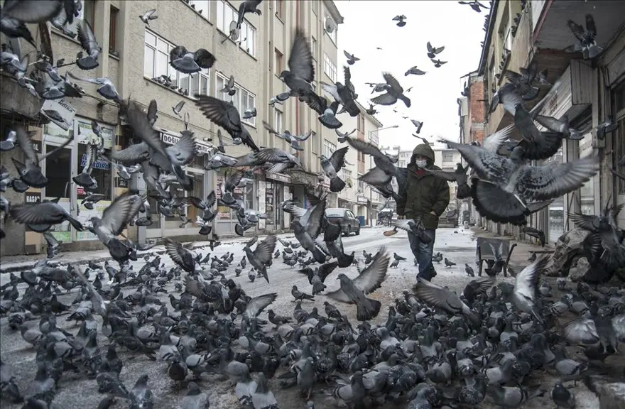 18-24 Aralık 2020 haftanın fotoğrafları 15