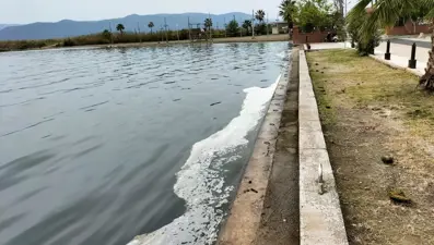 Köyceğiz Gölü’ndeki müsilaj tedirgin etti