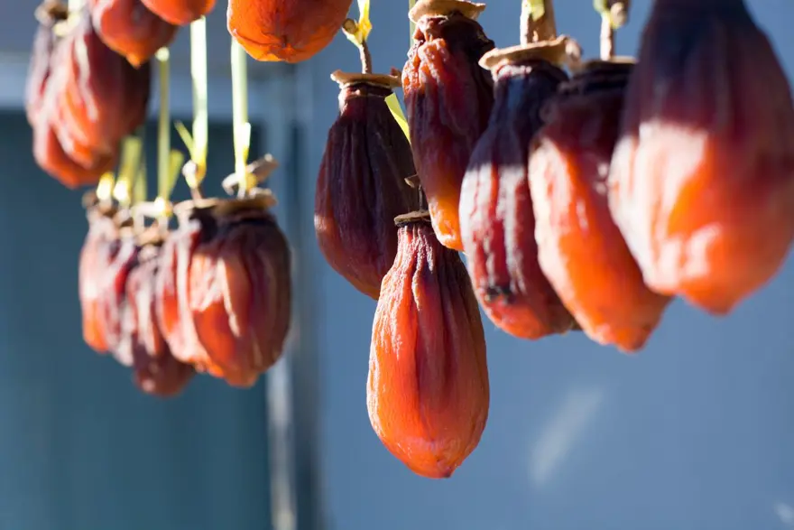 GÜÇLÜ BESİN DEPOSU 2 GÜÇLÜ BESİN DEPOSU 2