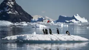 Antarktika'da ilk kez kuş gribi tespit edildi Antarktika'da ilk kez kuş gribi tespit edildi