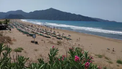 İztuzu'nda caretta caretta yuvası sayısı 700'e ulaştı