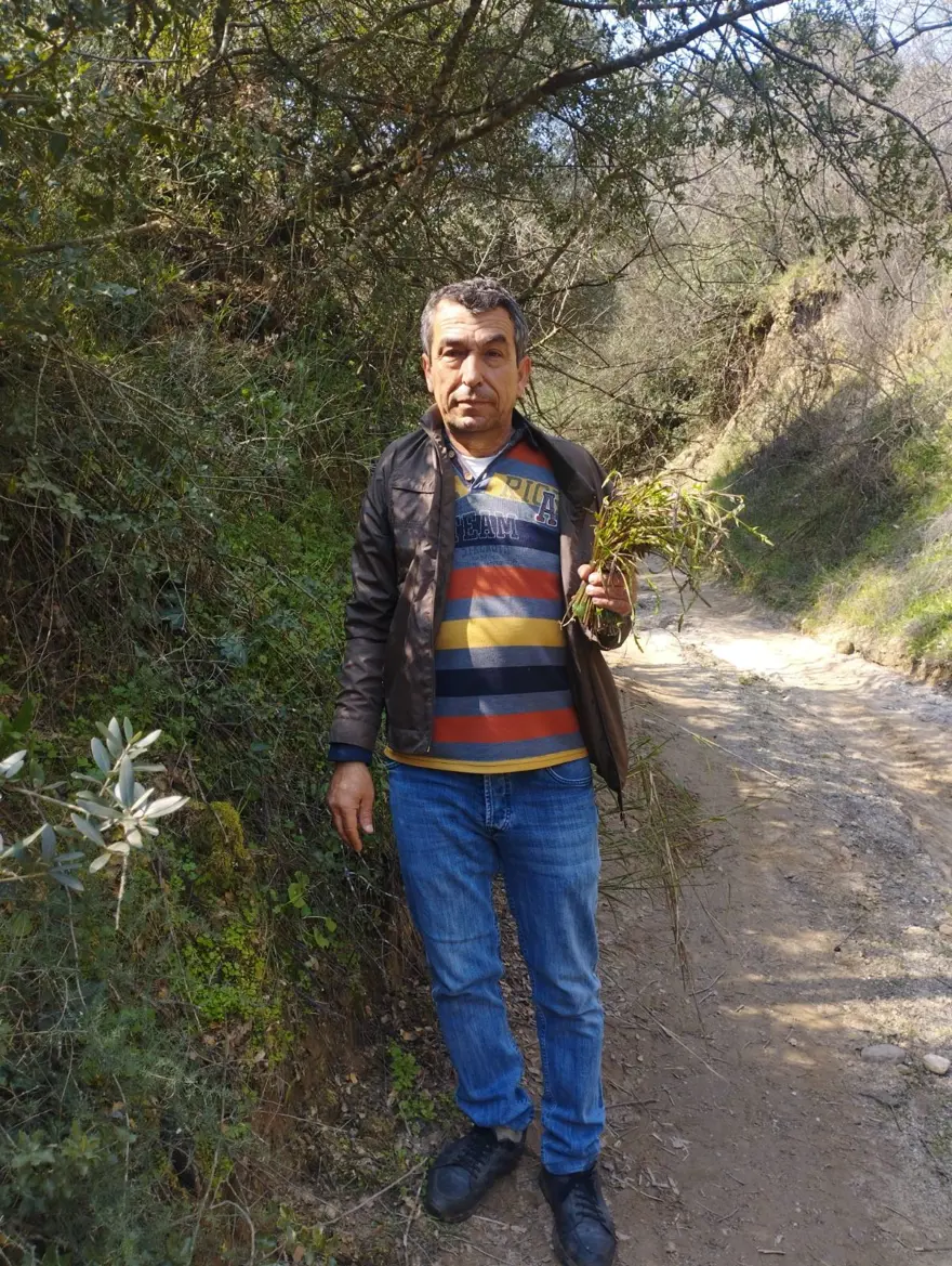 Herkes ona "acı ot" diyor: Kedirgen ve sarmaşıklar topraktan çıktı, 2 ayrı türde yemeği yapılıyor 1