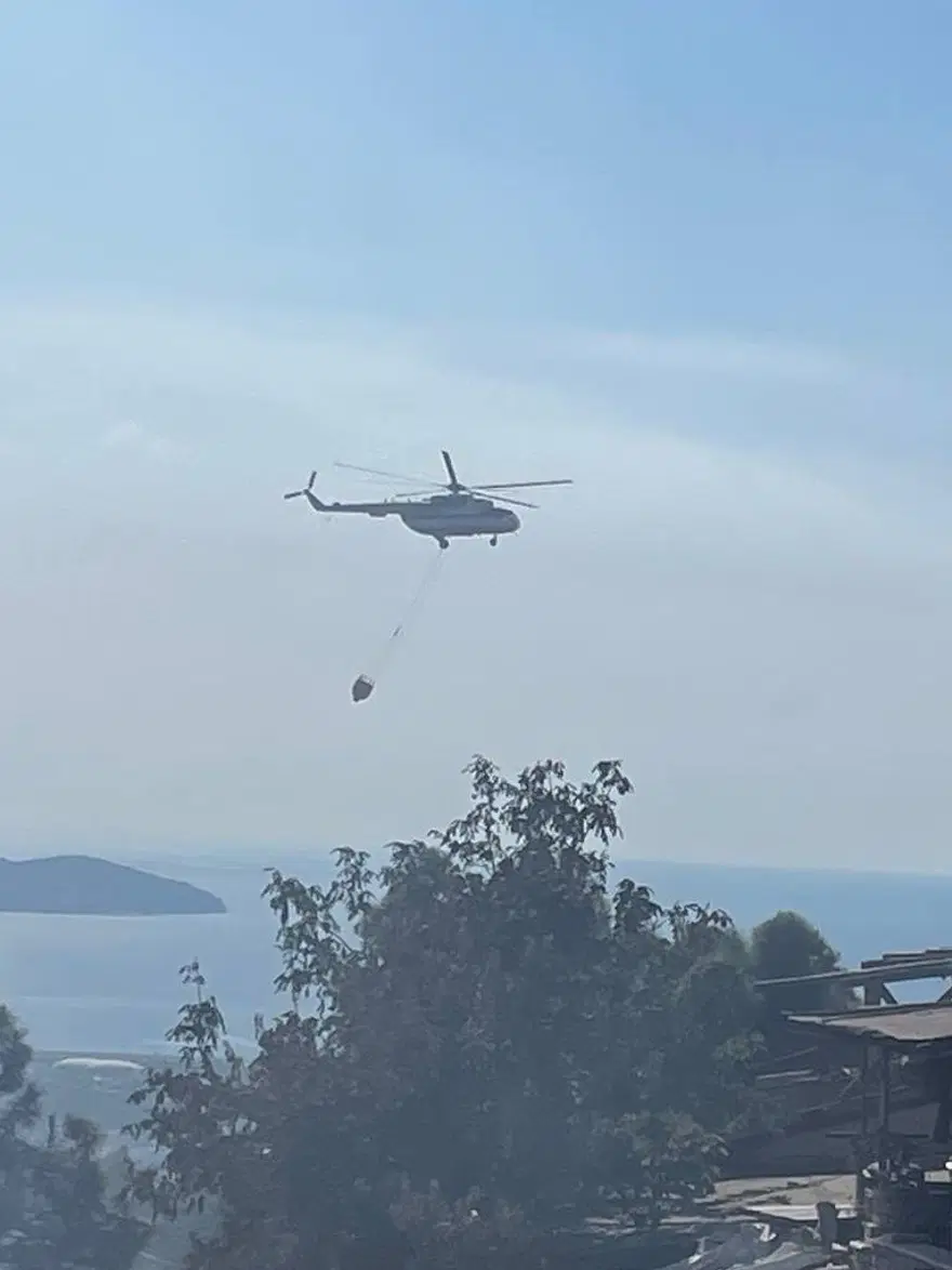 İstanbul Maltepe'de orman yangını 13