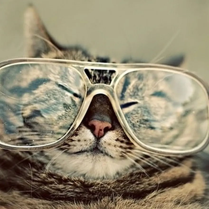 Poz verme sanatı 43