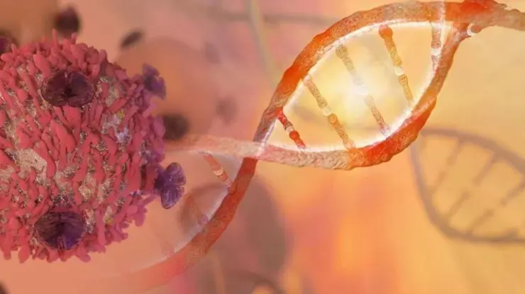 Kanser için yerli tedavi çalışması Kanser için yerli tedavi çalışması