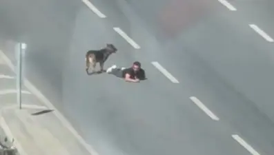 Yolun ortasında sürünerek ilerledi