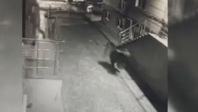 Kars'ta siteye giren ayı korkuttu