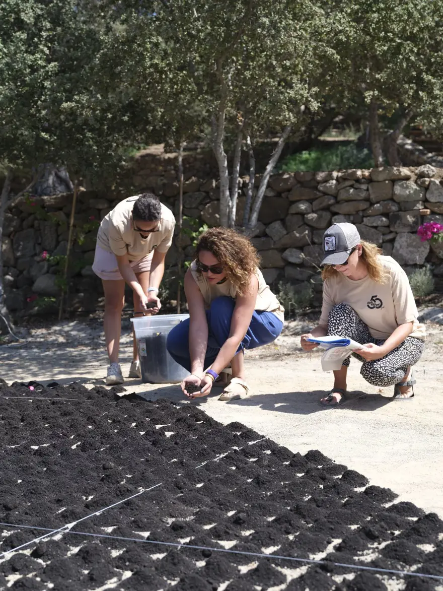 Aşık Veysel'in vefatının 50. yılında Bodrum'da dev portresi yapıldı 7
