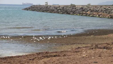 Ulaşımı felç eden poyraz sona erdi