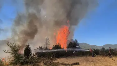 Balıkesir'de orman yangını: Kontrol altına alındı