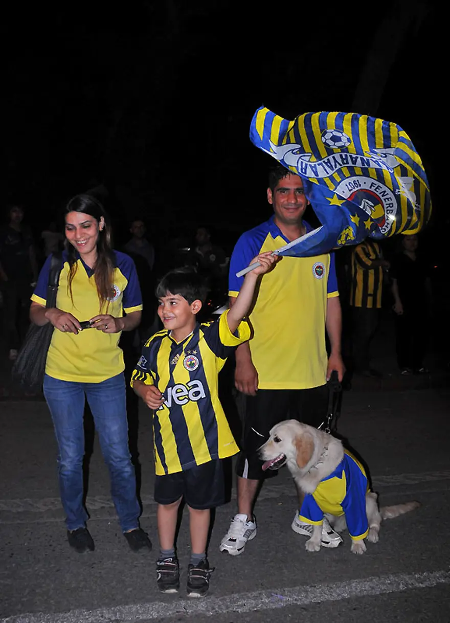 Her yer sarı lacivert 1