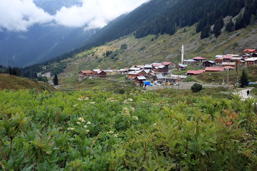elevit yaylası, doğu karadeniz yaylaları, rize yaylaları, en güzel yaylalar 2