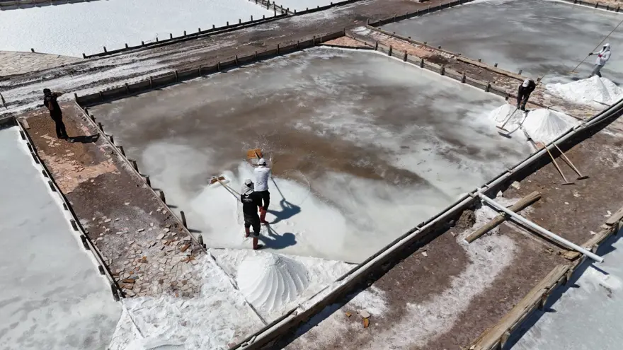 Yerin 7 metre altından çıkarılıyor: Beyaz altın hasadı başladı, içinde 84 mineral var 2