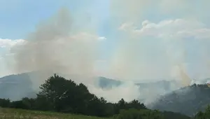 Uşak'taki orman yangını kontrol altında: 30 hektar alan zarar gördü