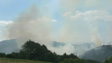 Uşak'taki orman yangını kontrol altında: 30 hektar alan zarar gördü
