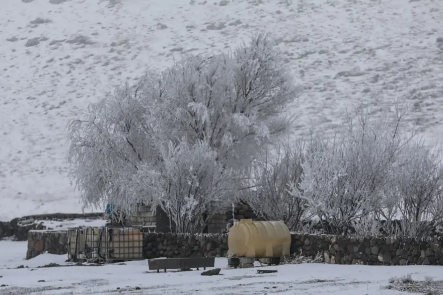 Dondurucu soğuklar devam ediyor! Termometreler eksi 25'i gösterdi 5