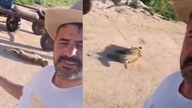 Öldürdüğü köpeği at arabasına bağlayıp sürükletti