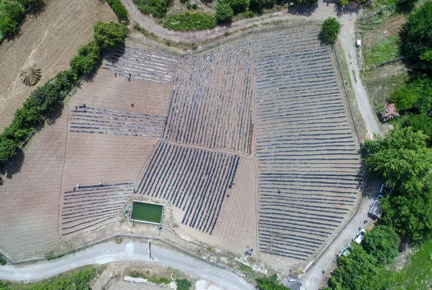 COĞRAFİ İŞARET İÇİN GİRİŞİM 3