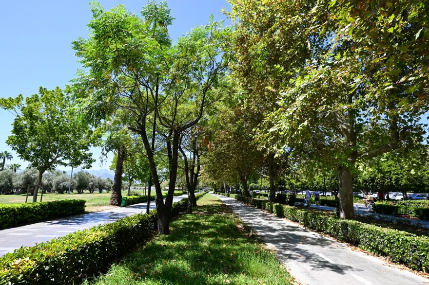 Antalya'da sıcaktan bunalan sahile koştu 3 Antalya'da sıcaktan bunalan sahile koştu 3