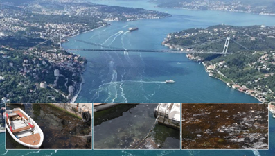 Marmara'nın kabusu İstanbul Boğazı'na geri döndü: "Deniz bağırıyor!"