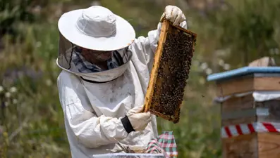 Dolmuşçuluk yaparken yolcusu hediye etmiş: Her yıl eşiyle yılın 6 ayını burada geçiriyor