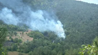 Bolu'daki orman yangını kontrol altında