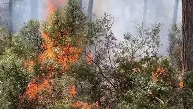 AKOM'dan başta İstanbul olmak üzere yurt geneline uyarı! Bu saatler arasında risk artıyor
