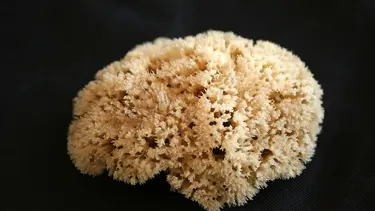 Meme kanserinde 'sünger' umudu