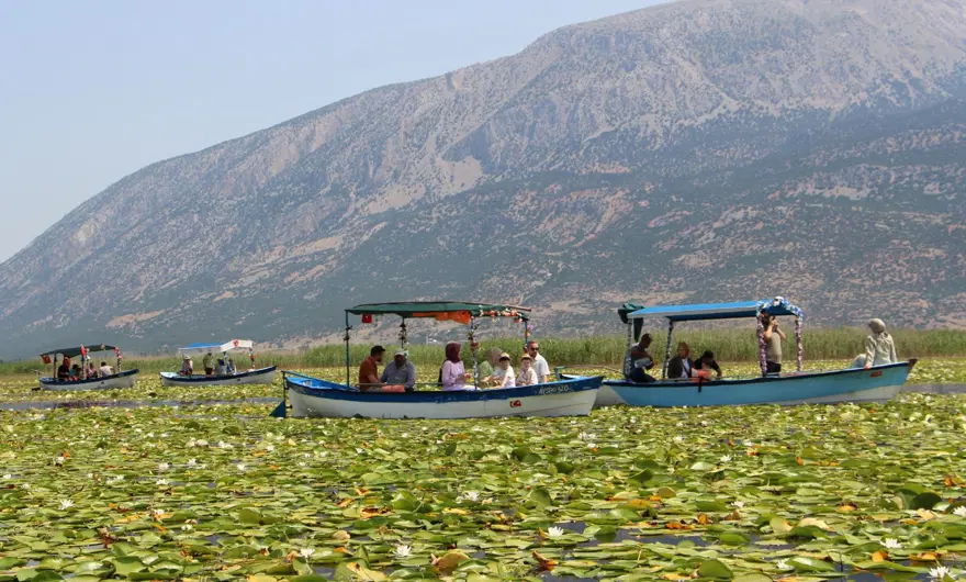 Işıklı Gölü’nde nilüfer turizmi: 100 bin ziyaretçinin gelmesi bekleniyor 1