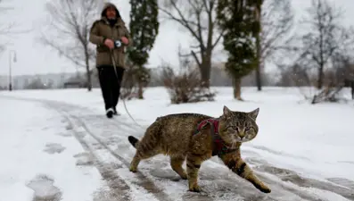 Moskova beyaza büründü: Kar fırtınası şehri esir aldı