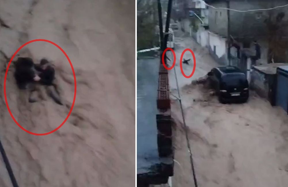 Şırnak’ı sel vurdu: Selden kurtuldu, başkasını kurtulmakisterken yine suya kapıldı
