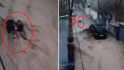 Şırnak’ı sel vurdu: Selden kurtuldu, başkasını kurtulmakisterken yine suya kapıldı