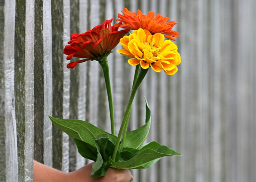 Öğretmenler Günü ne zaman, bu yıl hangi güne denk geliyor? İşte Öğretmenler Günü'nün tarihçesi 