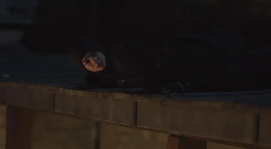 Hakan: Muhafız hakkında izlenimler 24