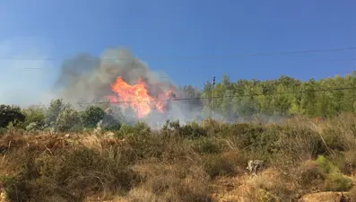 Mersin'deki orman yangını kontrol altına alındı