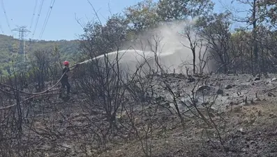 İstanbul'da orman yangını