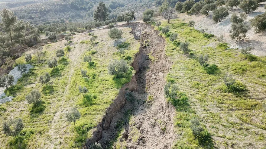 Depremin ardından Hatay'daki zeytinliklerde dev yarıklar 10