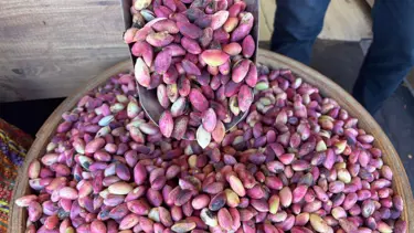 Aşırı sıcaklar hasadı öne çekti: Kilosu 500 liraya satılıyor