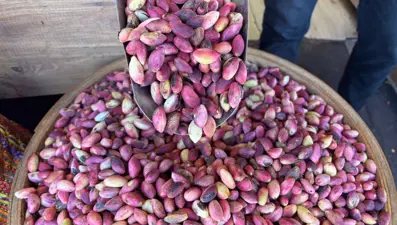 Aşırı sıcaklar hasadı öne çekti: Kilosu 500 liraya satılıyor