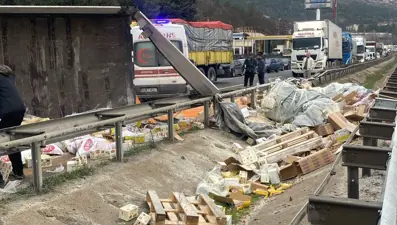 Bilecik'te TIR devrildi, yükündeki kuruyemişler yola saçıldı