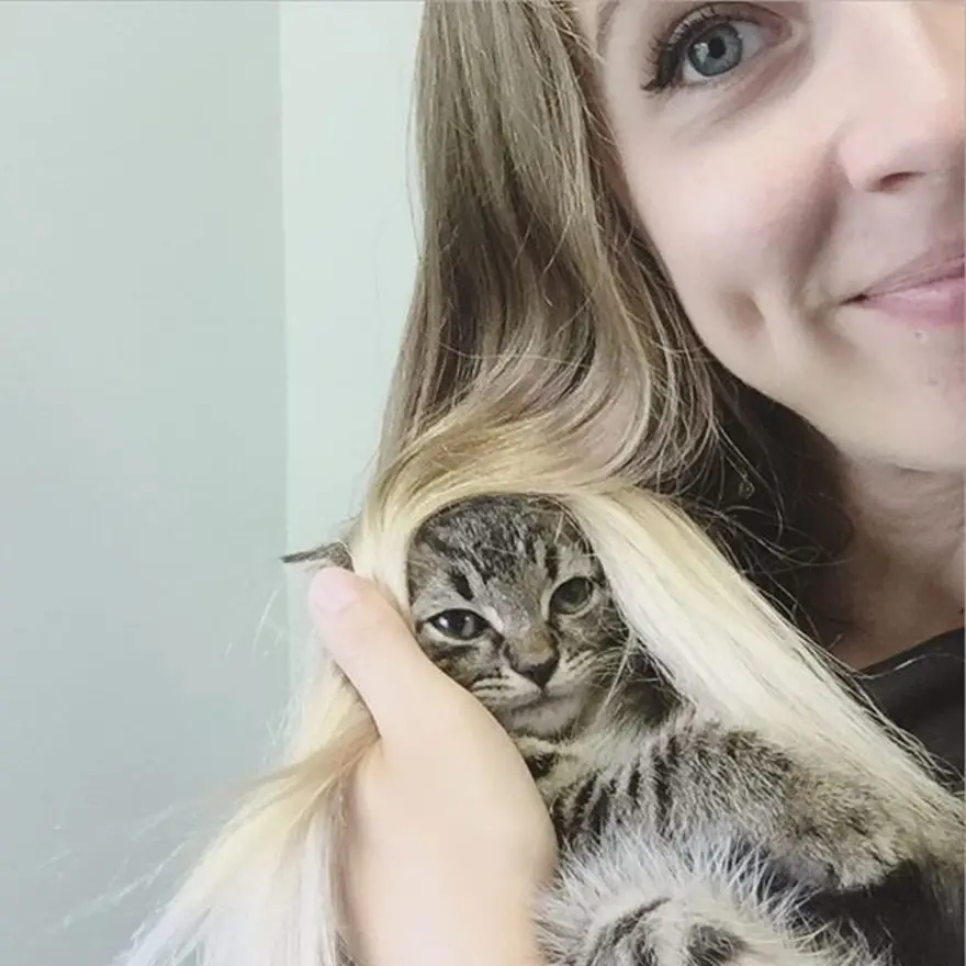 Hayatını kedileri kurtarmaya adadı 247