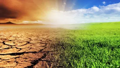 5 kişiden 1'i iklim değişikliğinin etkilerini hissediyor