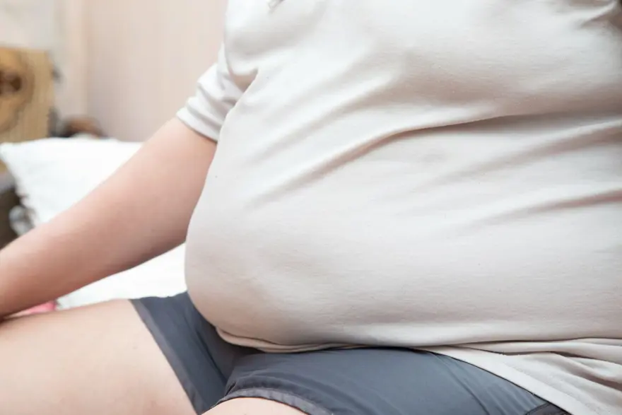Gelecek pandemi: 2030 yılına kadar 1 milyar insan obez olacak, En çok etkilenecekler arasında Türkiye de var 4