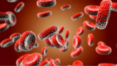 Anemi nedir, belirtileri nelerdir? Anemi nasıl tedavi edilir?