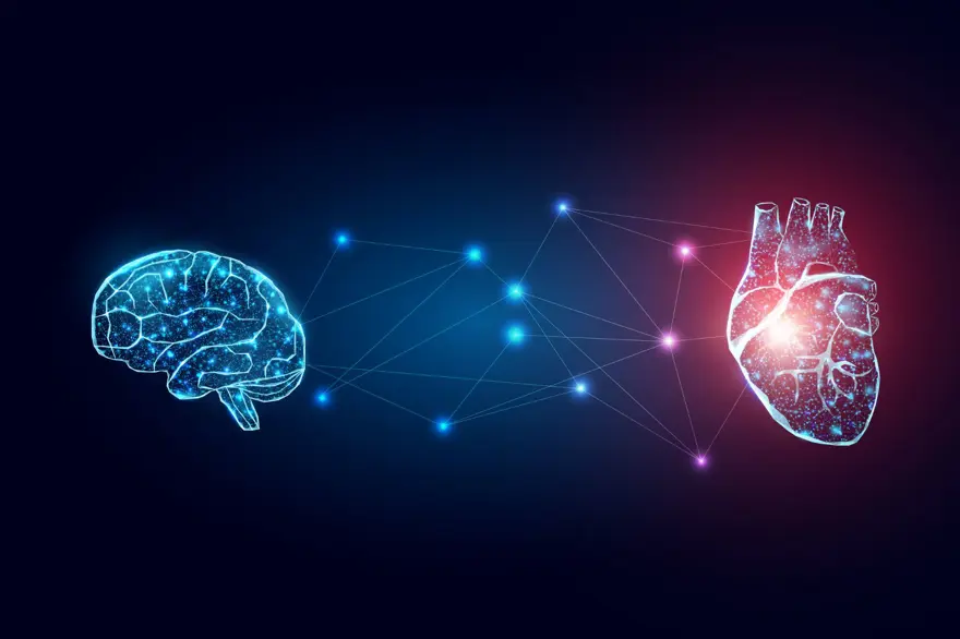 Sevginin beyne etkisi: Her duygunun farklı bölgeyi harekete geçirdiği ortaya çıktı 1