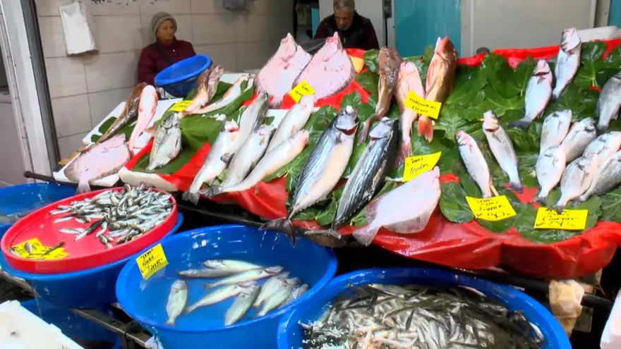 "BU SENE PALAMUT ÇOK AZ" 3