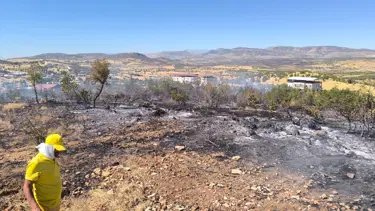 Diyarbakır'da üç ayrı noktada yangın