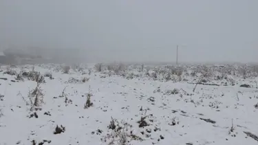 Yağmur yerini kar yağışına bıraktı: Ağrı beyaza büründü